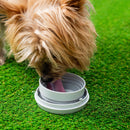 Correia Retráctil para Cães 6 em 1