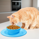 Comedouro 2 em 1 Antideslizante