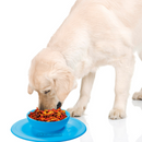 Comedouro 2 em 1 Antideslizante