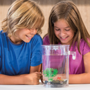 Aquário com Sistema de Limpeza